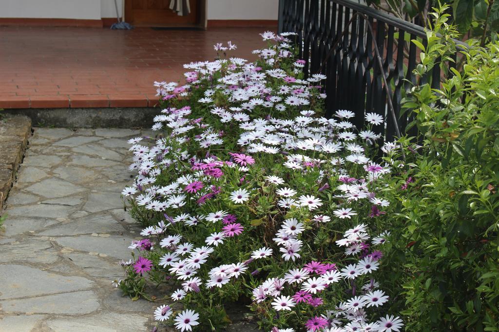 House In Caramagna Apartment Imperia Phòng bức ảnh